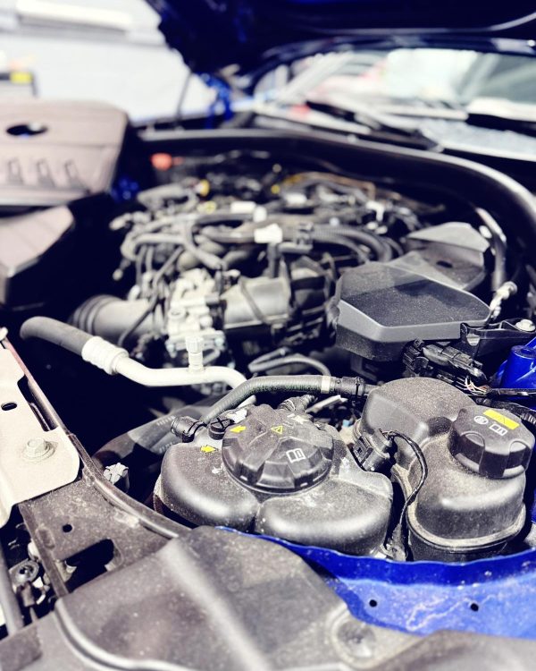 WhatsApp Image 2025-11-23 at 9.21.52 AM